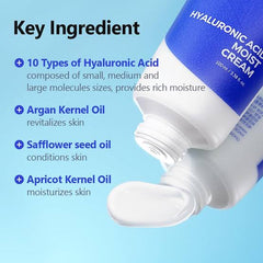 Isntree - Hyaluronic Acid Moist Cream 100ml
